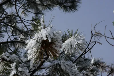 DSC_0771 (Large).JPG